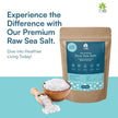 7VED Raw Sea Salt – 850 gms. Pure Coastal Salt, Unprocessed, Rich in 74 Essential Trace Minerals - Zircon Ventures