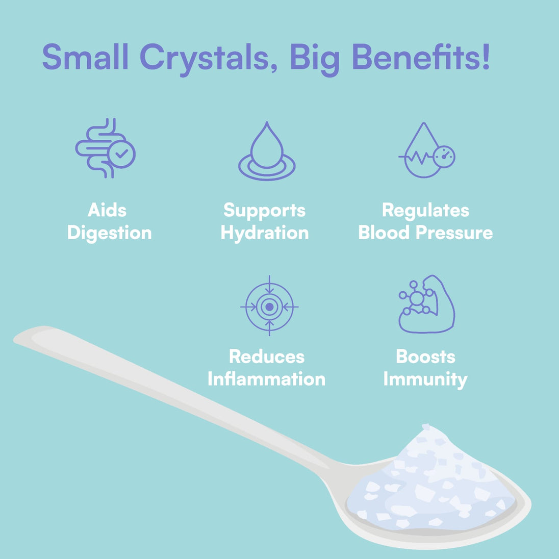 7VED Celtic Sea Salt Premium – 100% Natural & Mineral - Rich - Zircon Ventures